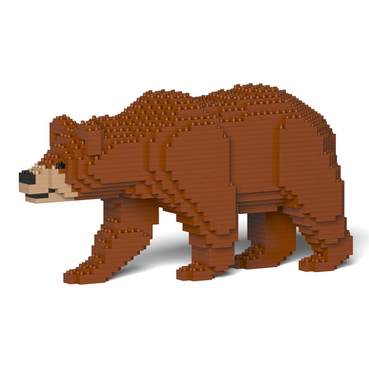 Brown Bear 01