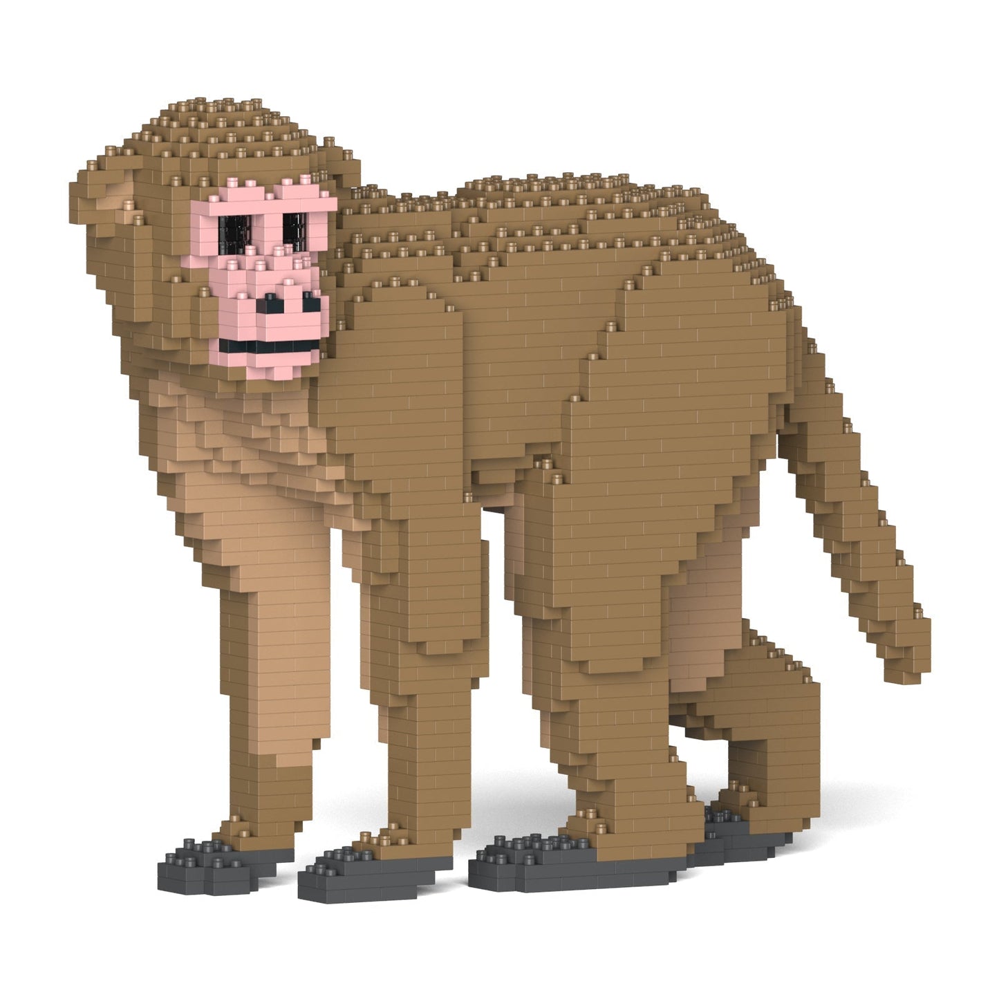 Monkey 01