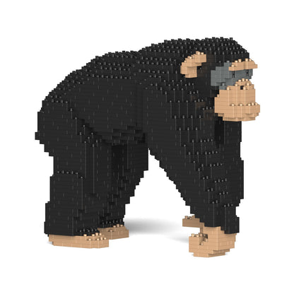 Chimpanzee 02