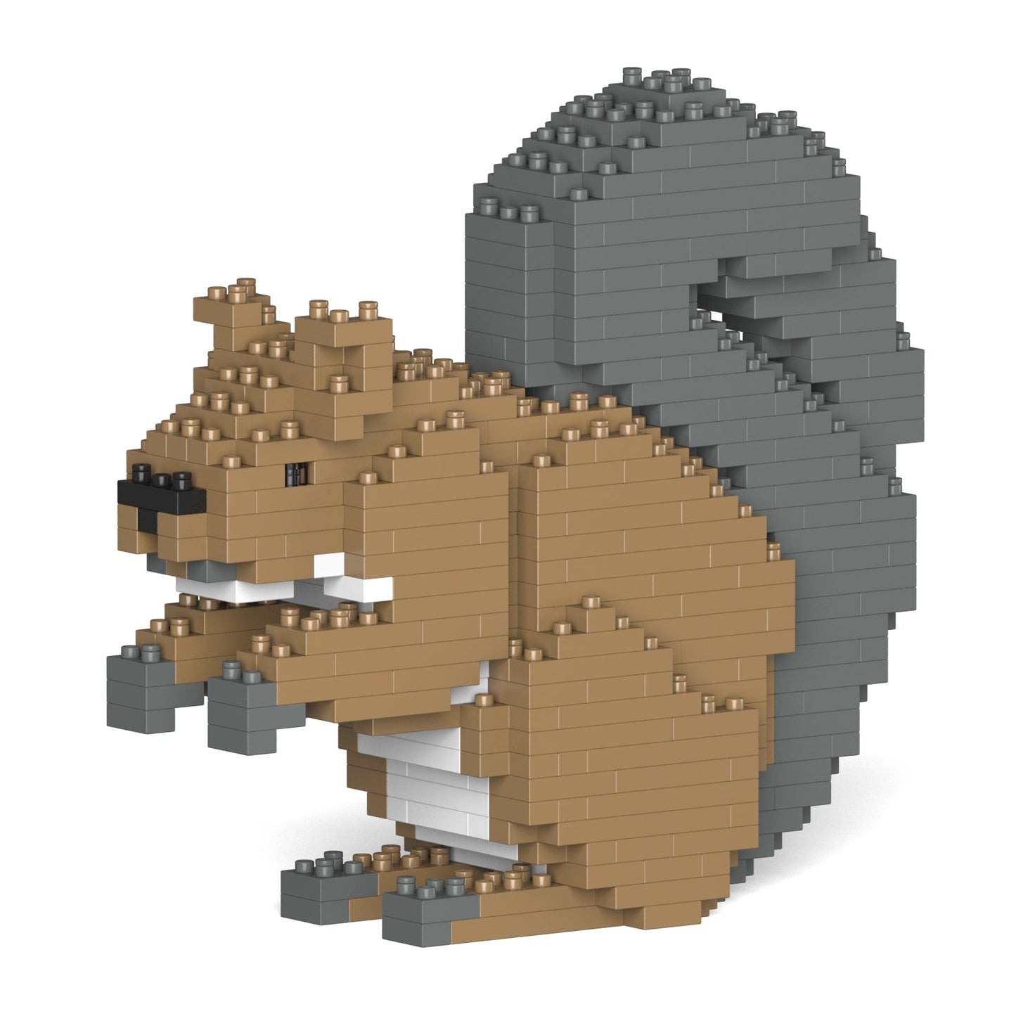 Squirrel 01