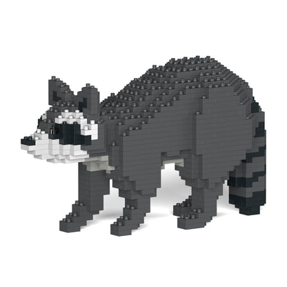 Raccoon 01