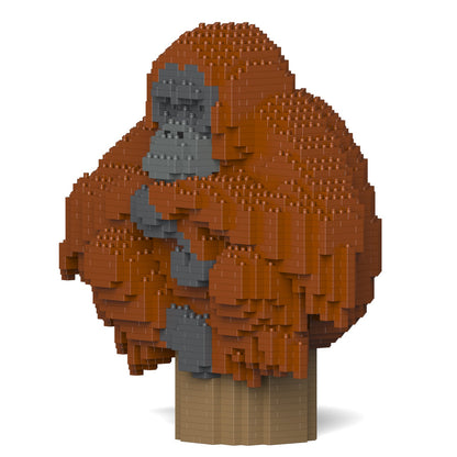 Orangutan 01