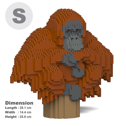 Orangutan 01