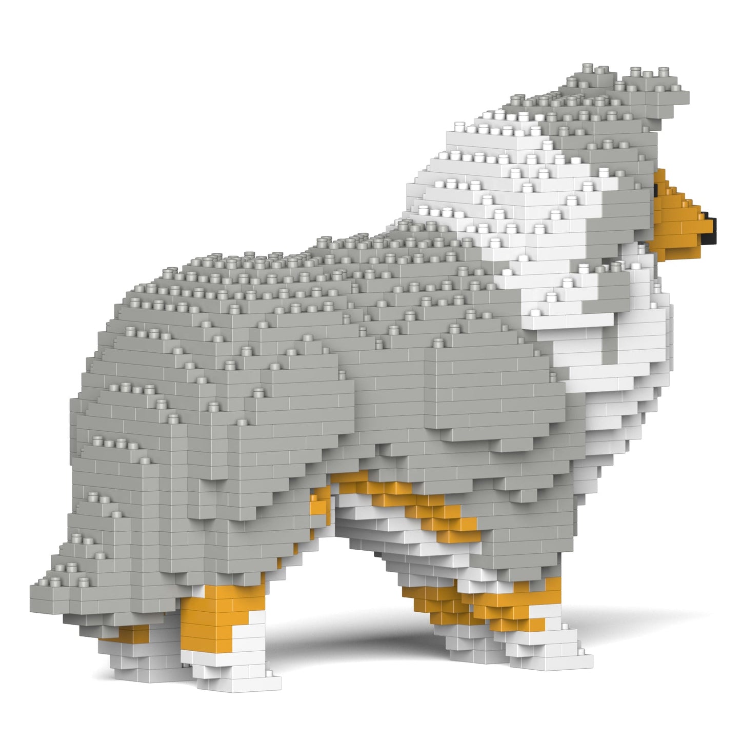 Shetland Sheepdog 01-M01
