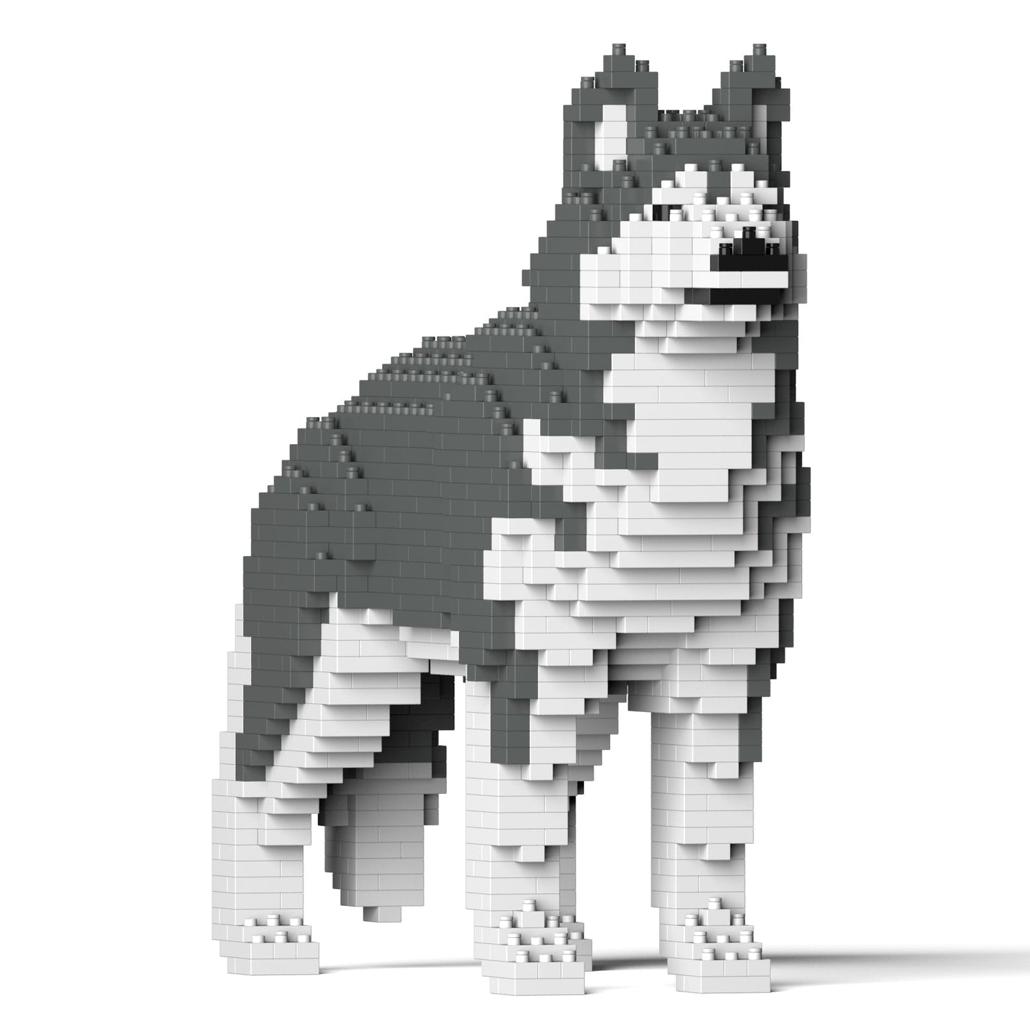 Husky 01-M04