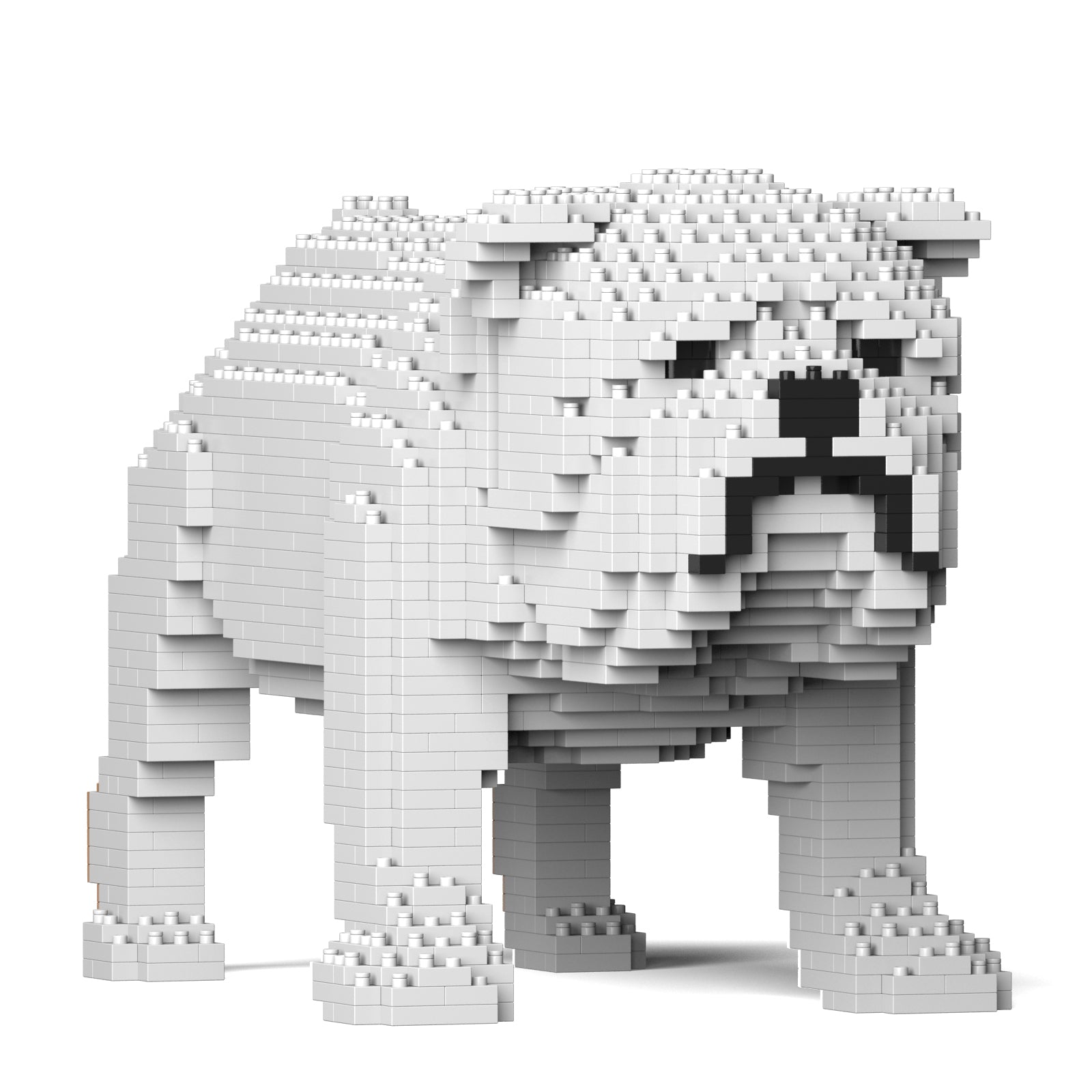 JEKCA English Bulldog 01S-M02