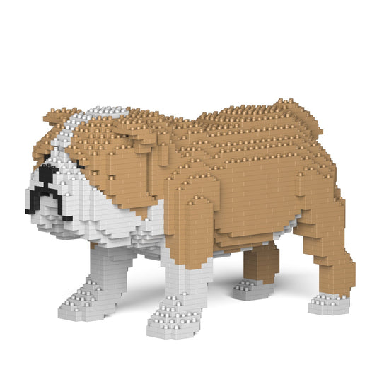 English Bulldog 01-M03