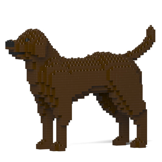 Labrador Retriever 01-M05