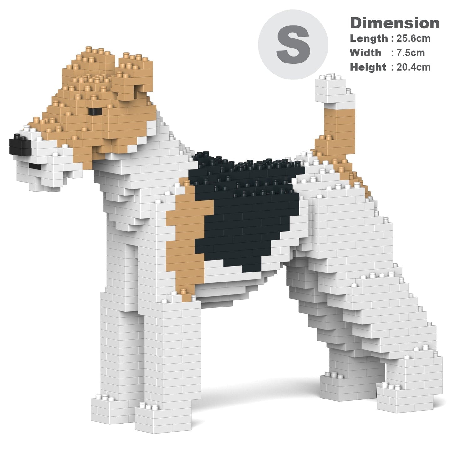 Wire Haired Fox Terrier 01
