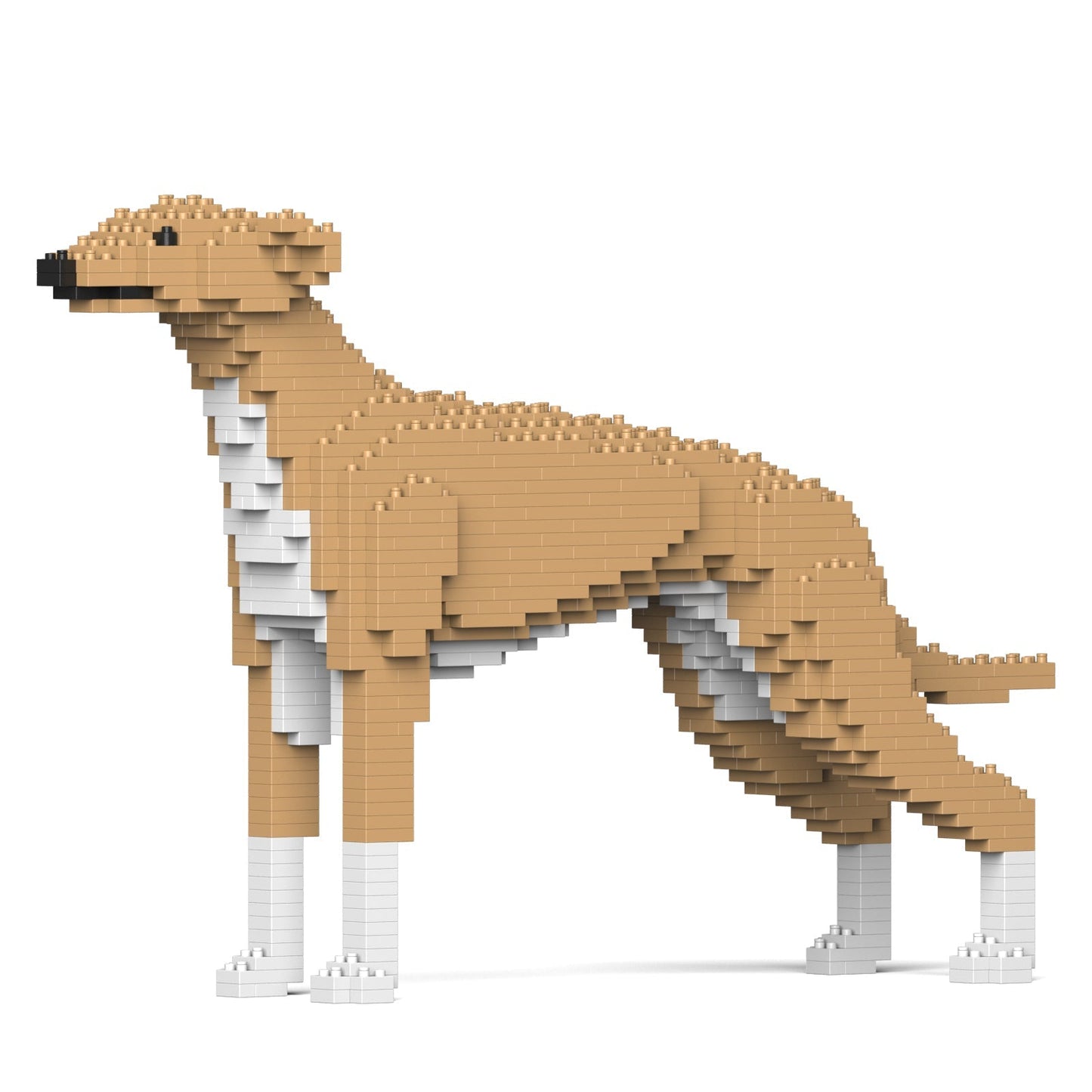 Greyhound 01-M01