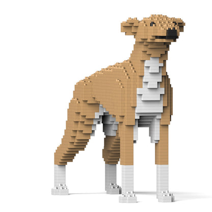 Greyhound 01-M01
