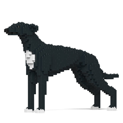 Greyhound 01-M02