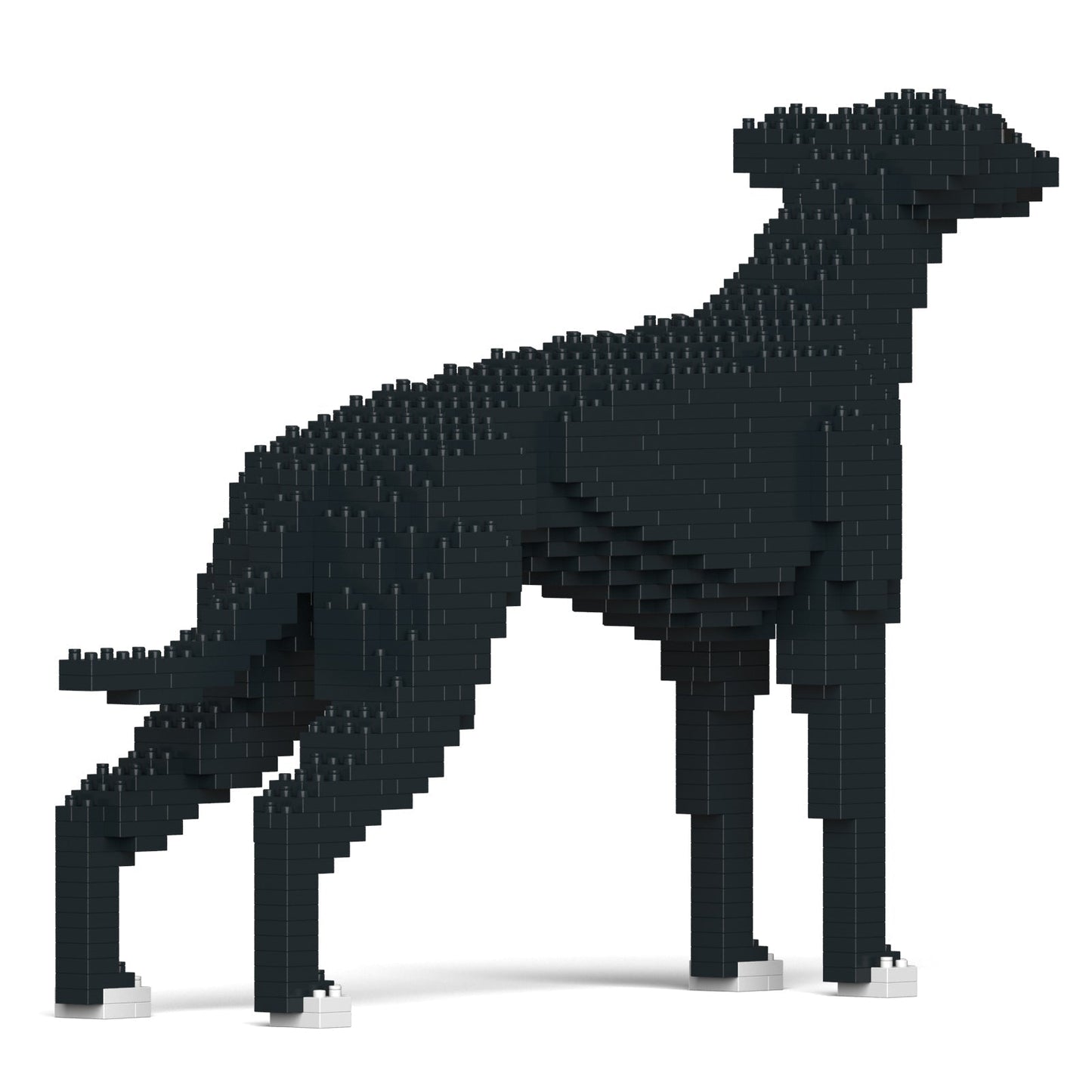 Greyhound 01-M02