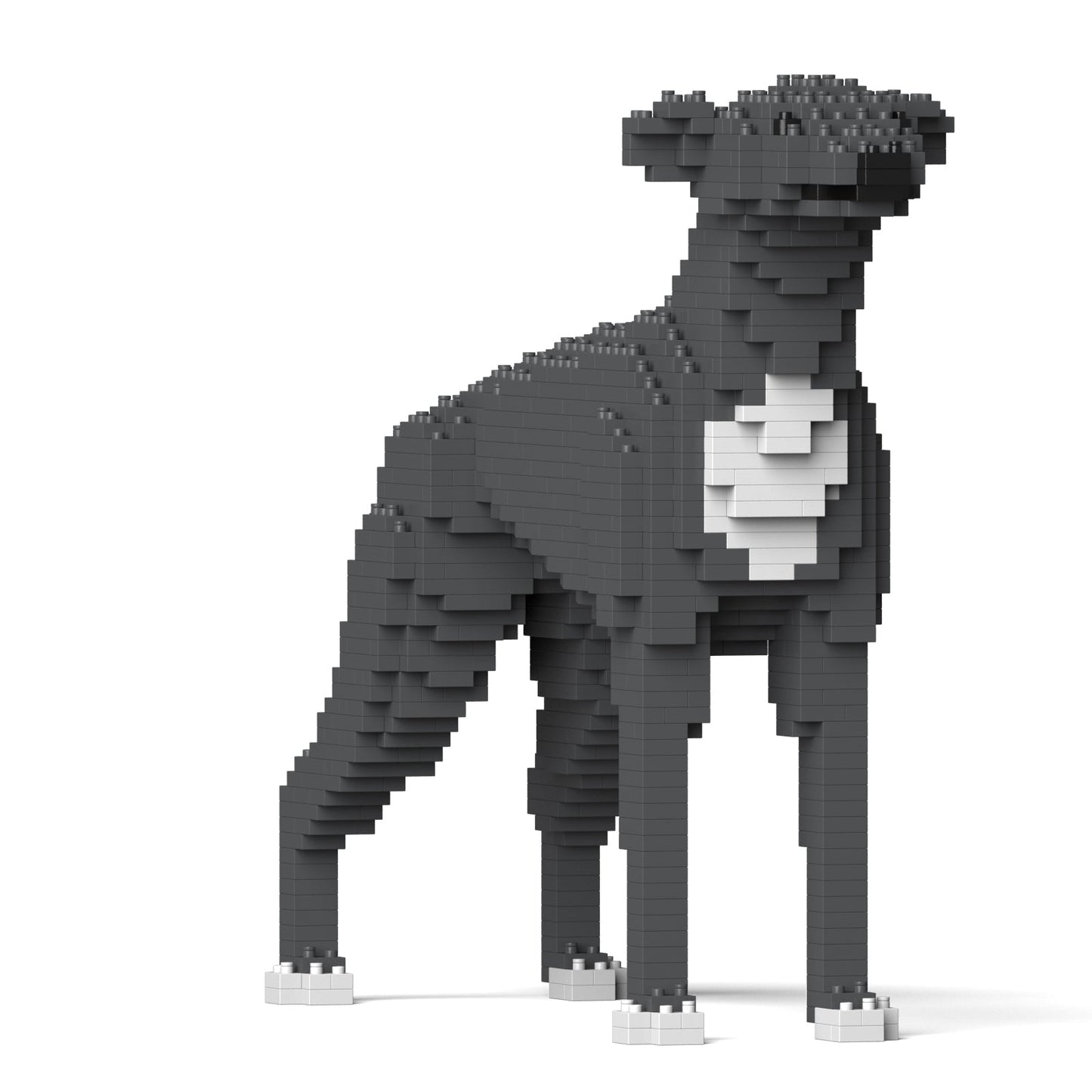 Greyhound 01-M03