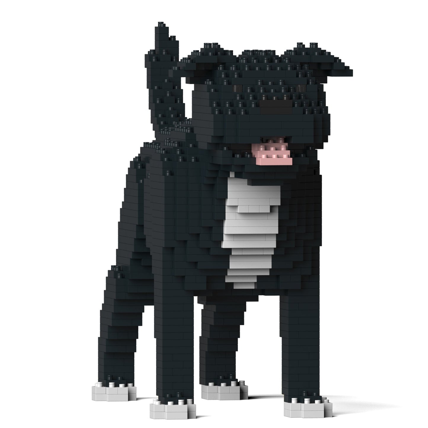 Staffordshire Bull Terrier 01-M02