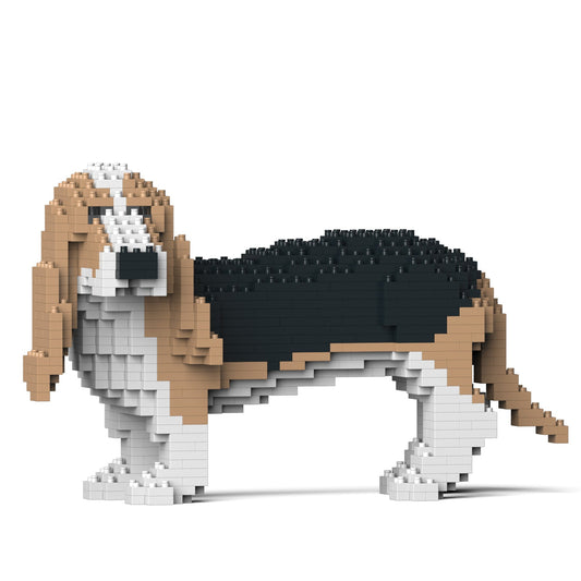 Basset Hound 01-M02