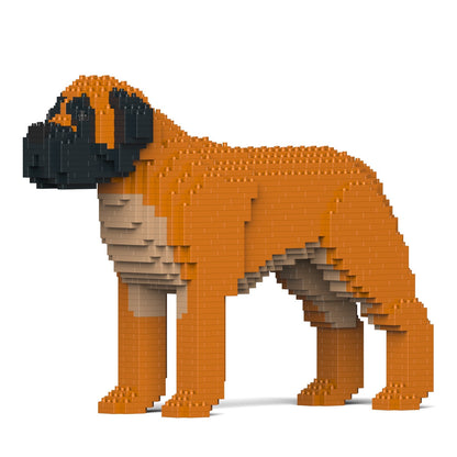 English Mastiff 01-M02