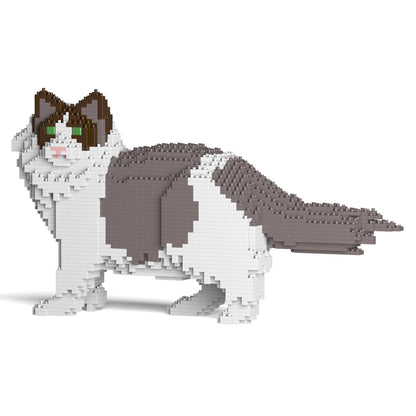 Ragdoll Cat 02S-M01
