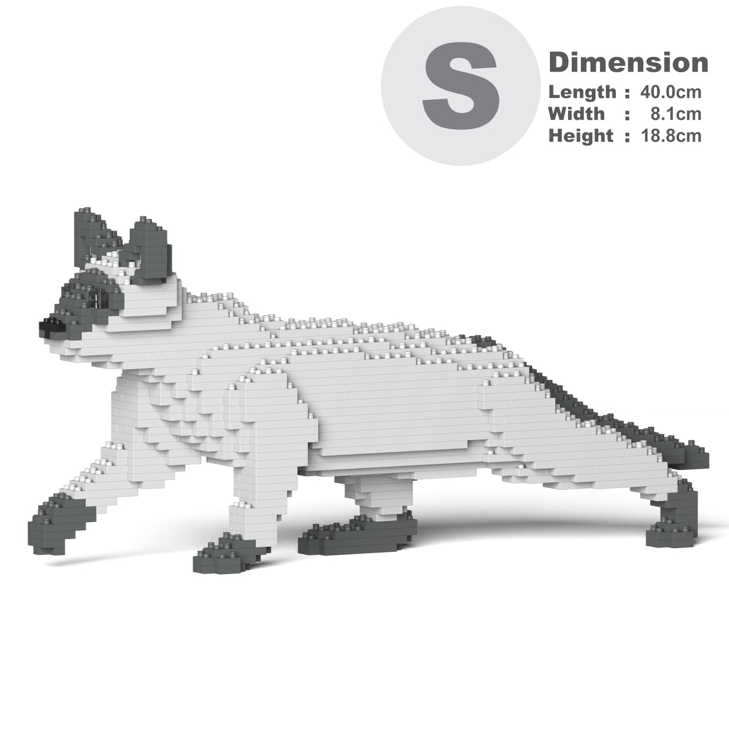 Siamese Cat 03S-M02