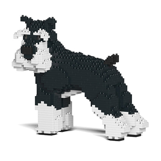 Standard Schnauzer 02-M02