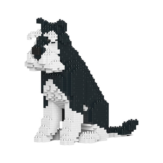 Standard Schnauzer 04-M02