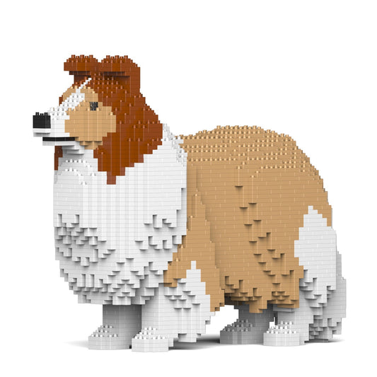 Shetland Sheepdog 02-M01