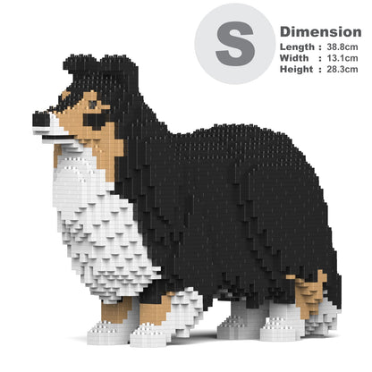 Shetland Sheepdog 02-M02