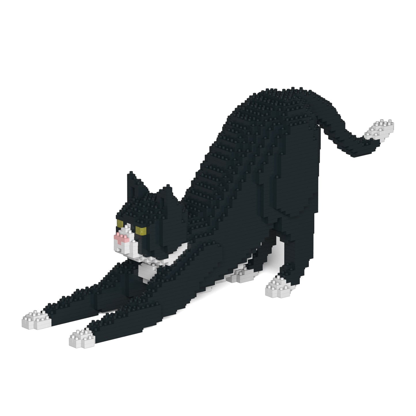 Tuxedo Cat 04S