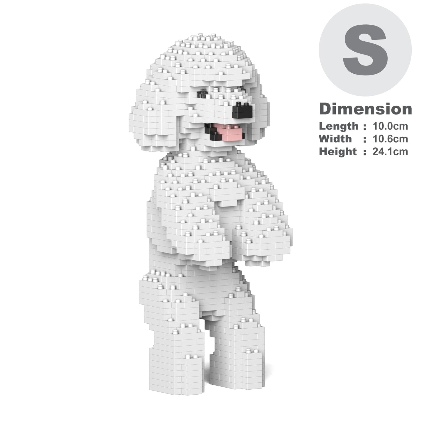 Toy Poodle 04-M01