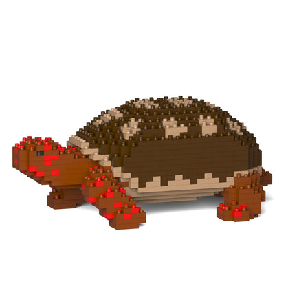 Red-footed Tortoise 01