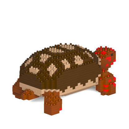 Red-footed Tortoise 01