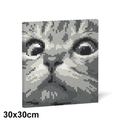 Cat Eyes Brick Painting 02S-M02