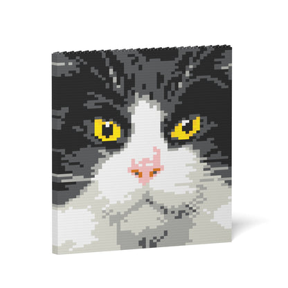 Tuxedo Cat Brick Painting 01S